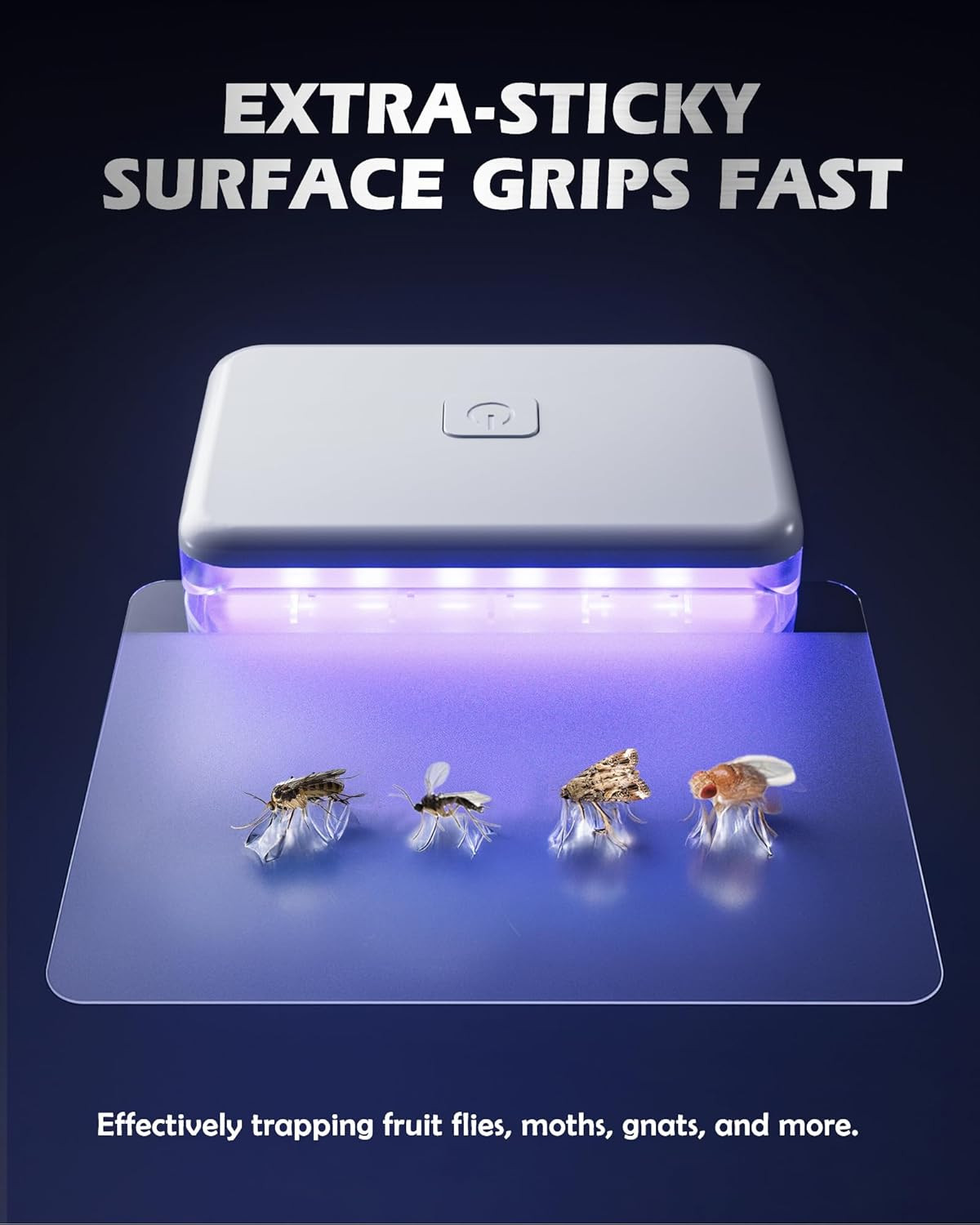 Indoor Fruit Fly Trap with 10 Refills – Safe, Sleek Plug-In Design