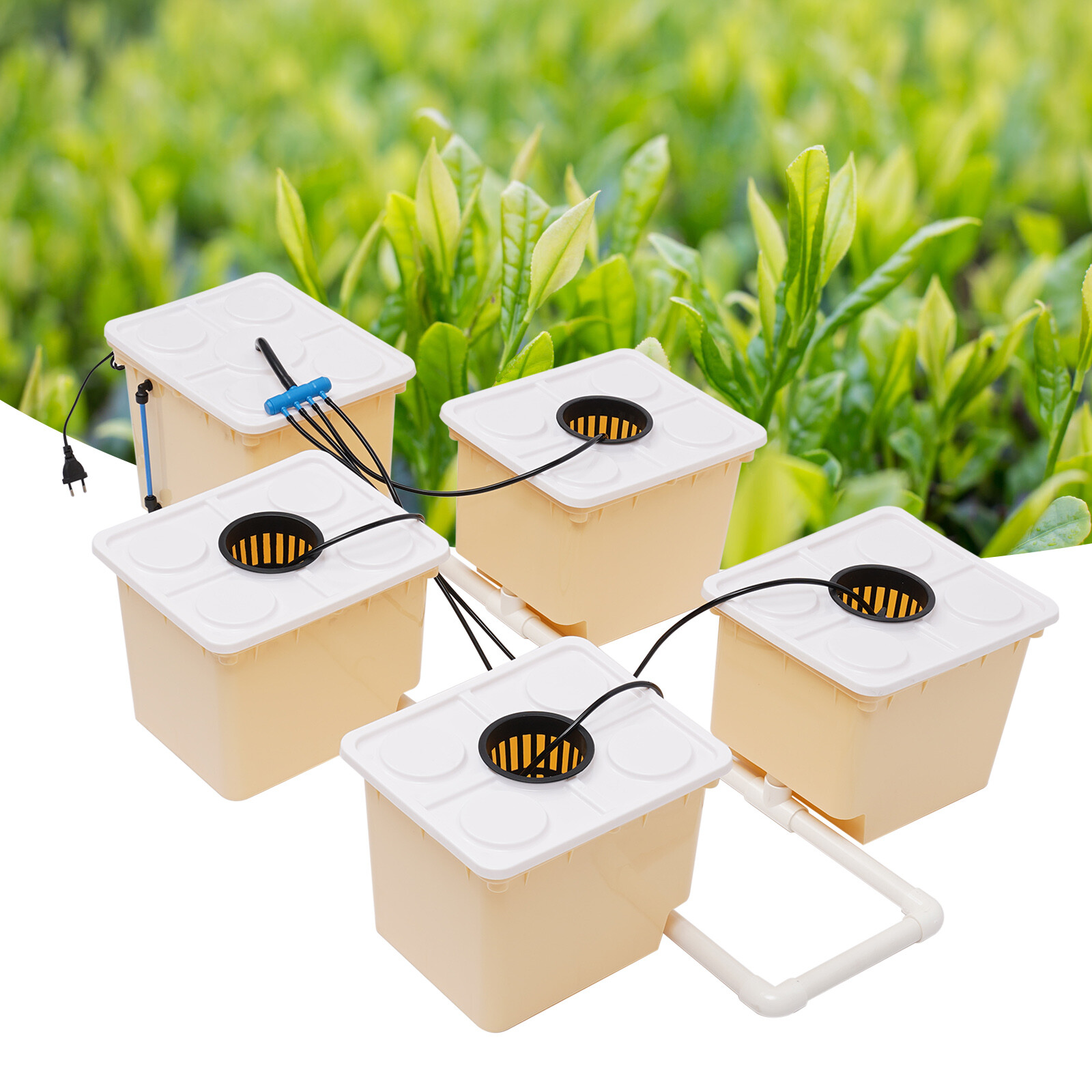 Hydroponics Deep Water Culture DWC Hydroponic System buckets Drip Growing System