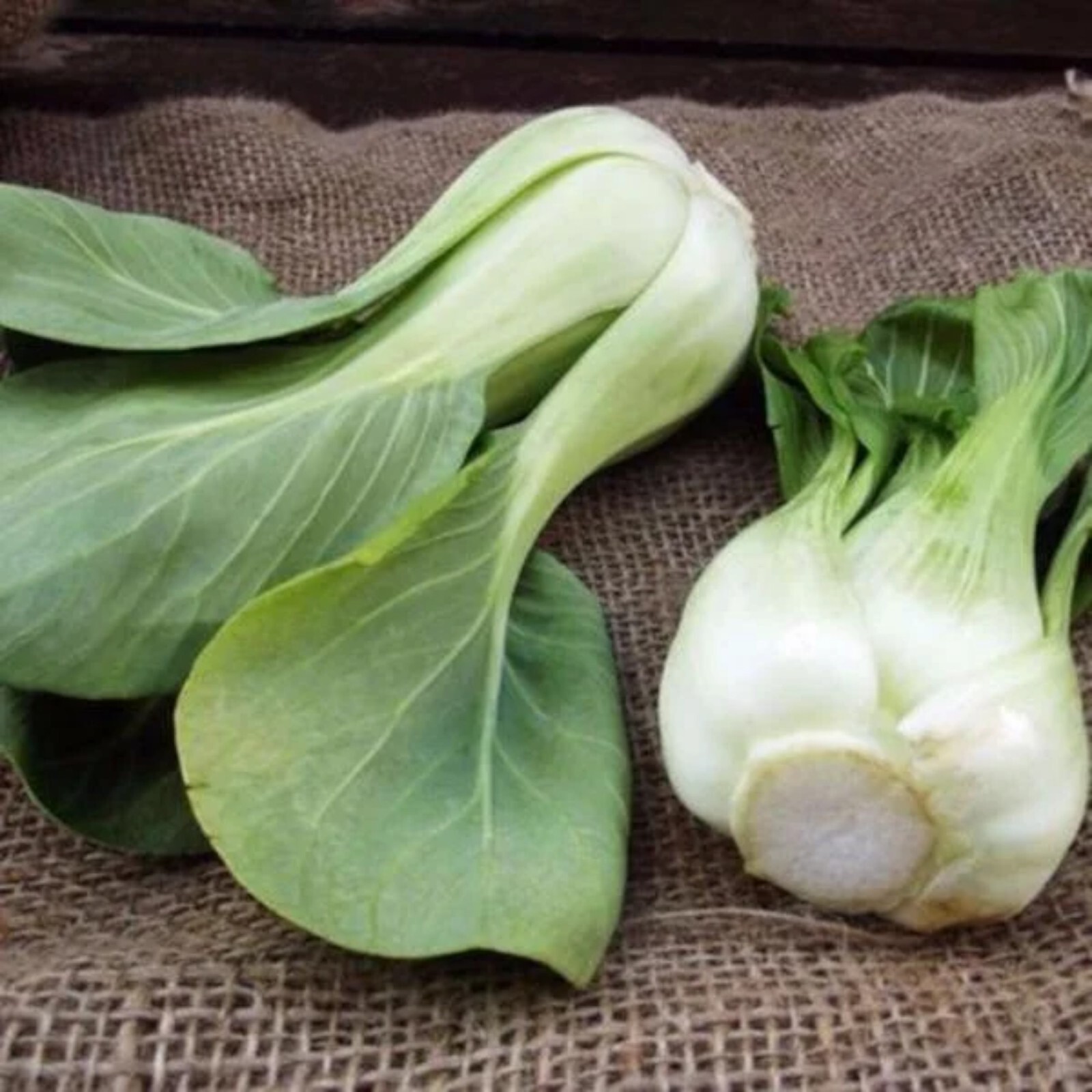 1000pcs ‘All Year Round’ Chinese Cabbage Seeds – Heirloom & Organic, Non-GMO