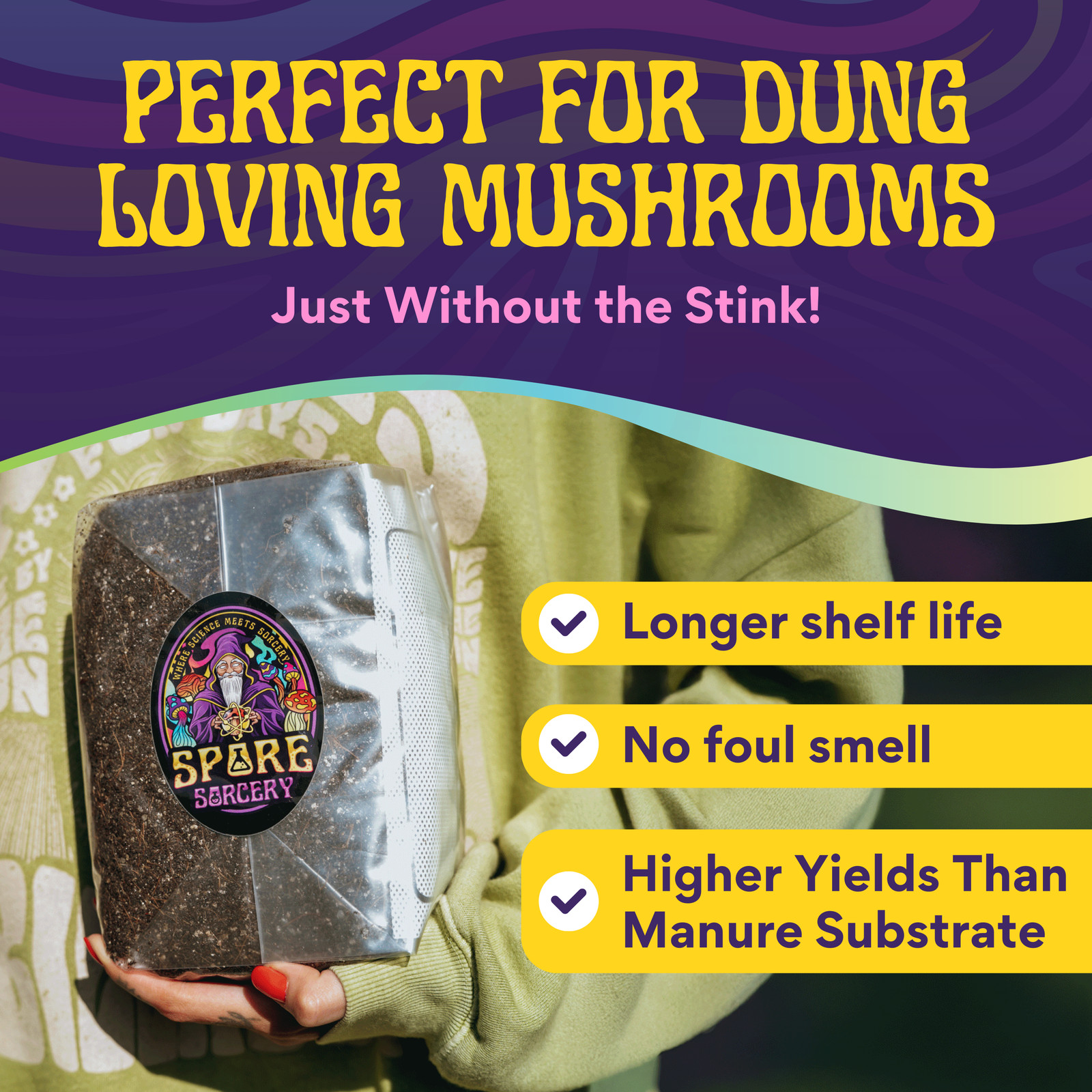6 lb All-in-One Mushroom Grow Kit In Bag