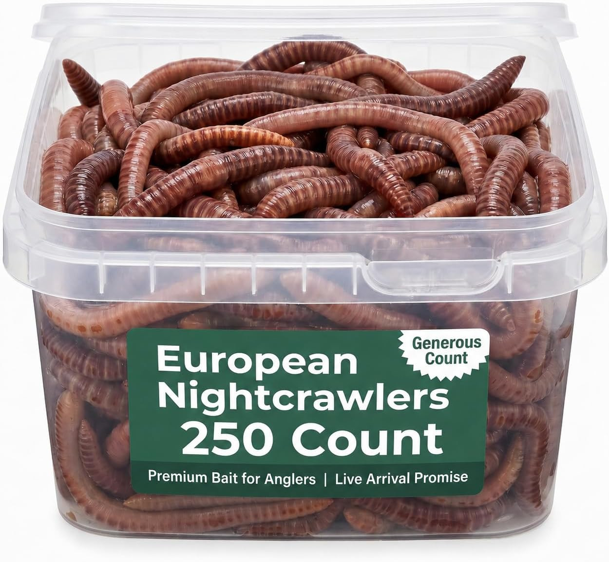 Live PANFISH European Nightcrawlers Composting Worms Fishing Worms