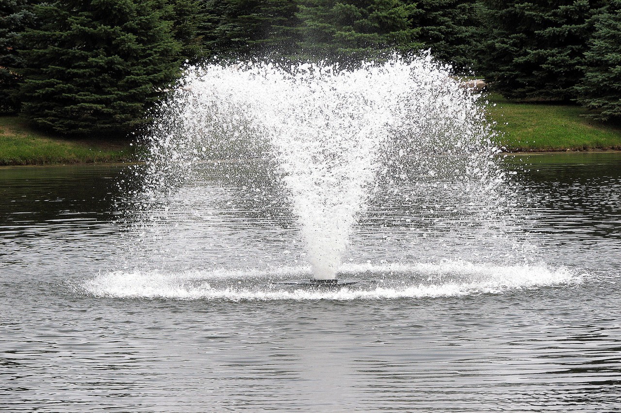 Scott Aerator North Star Aerator, 1/2 HP, 115 V, 70′ Cord 14020.1