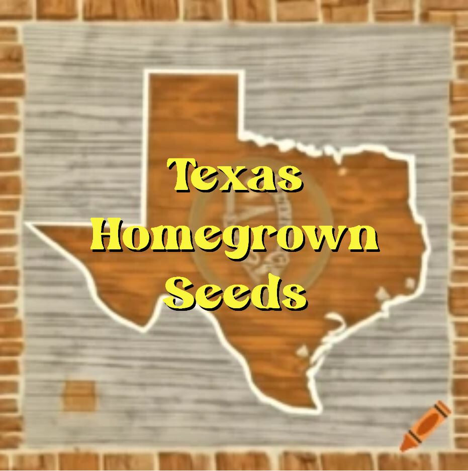 100ct Giant Red Marconi Sweet Pepper Seeds – Sweet Super Mild Heirloom Peppers