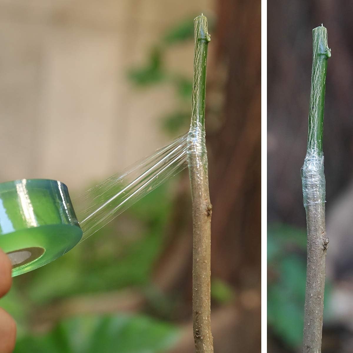 Pack of 3 Waterproof Grafting Tape for Effective Budding and Plant Repair