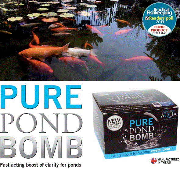 Evolution Aqua Pure Pond Bomb – Fast Acting Clarity Boost