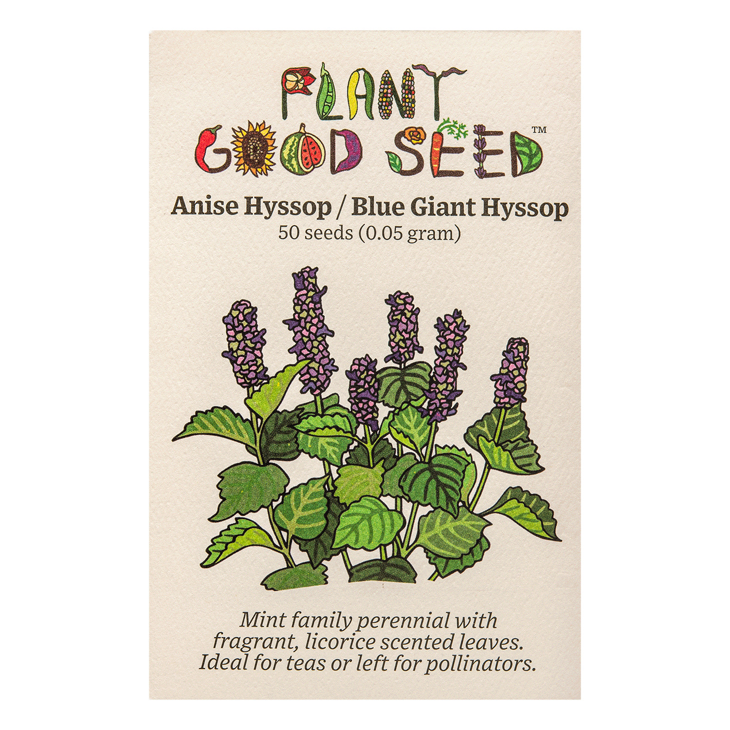 Anise Hyssop / Blue Giant Hyssop Seeds
