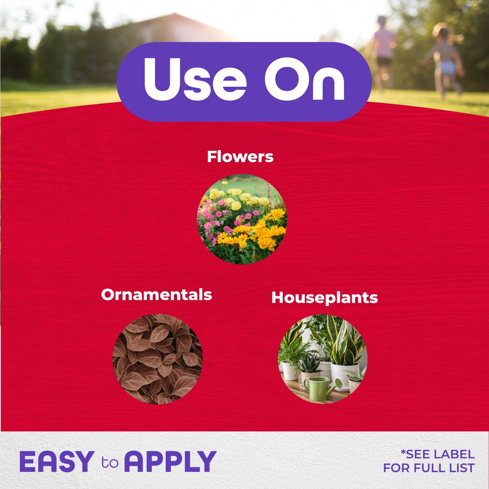 Bonide Insect Control Systemic Granules Ready-to-Use Water Resistant 1 lb