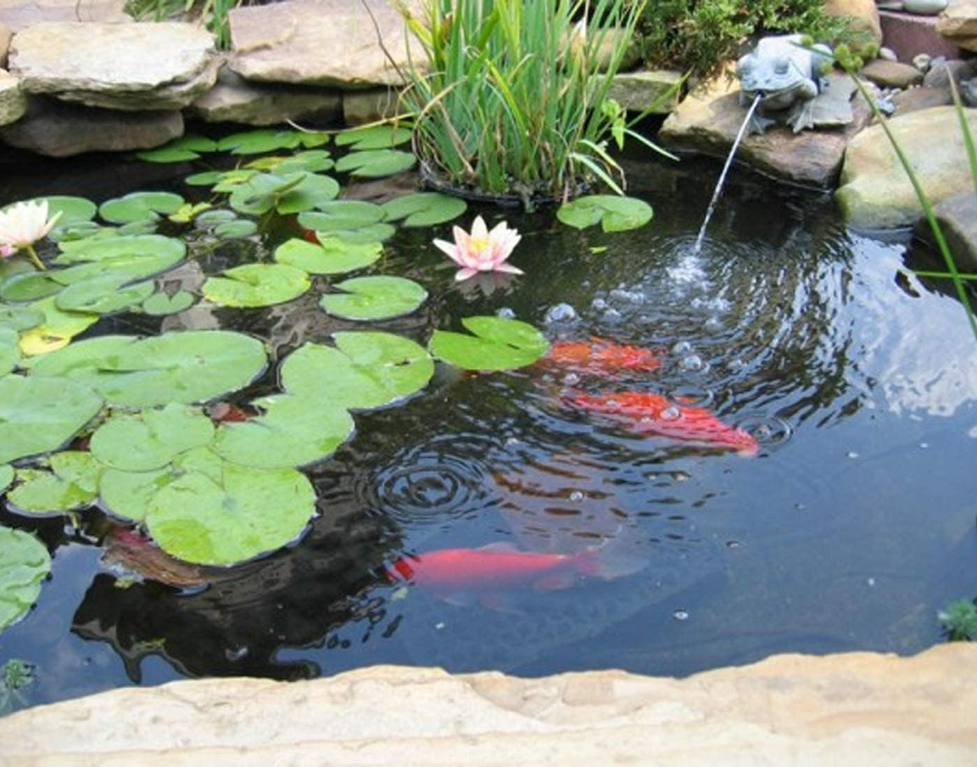 15 X 20 FT Pond Liner, 20 Mil Pond Liners for Outdoor Ponds, UV