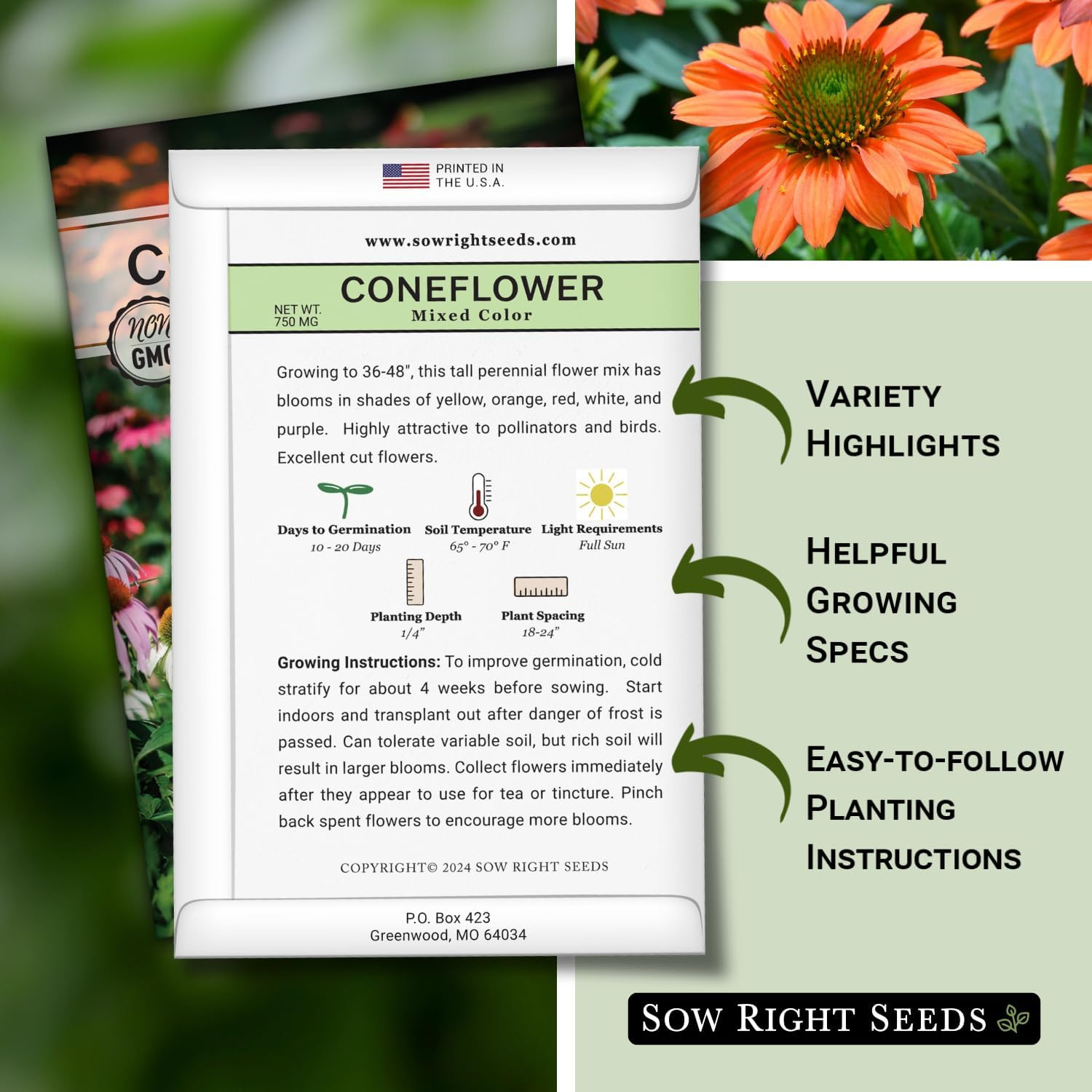– Mixed Color Coneflower Echinacea Seeds for Planting – Non-Gmo Heirloom Idea…