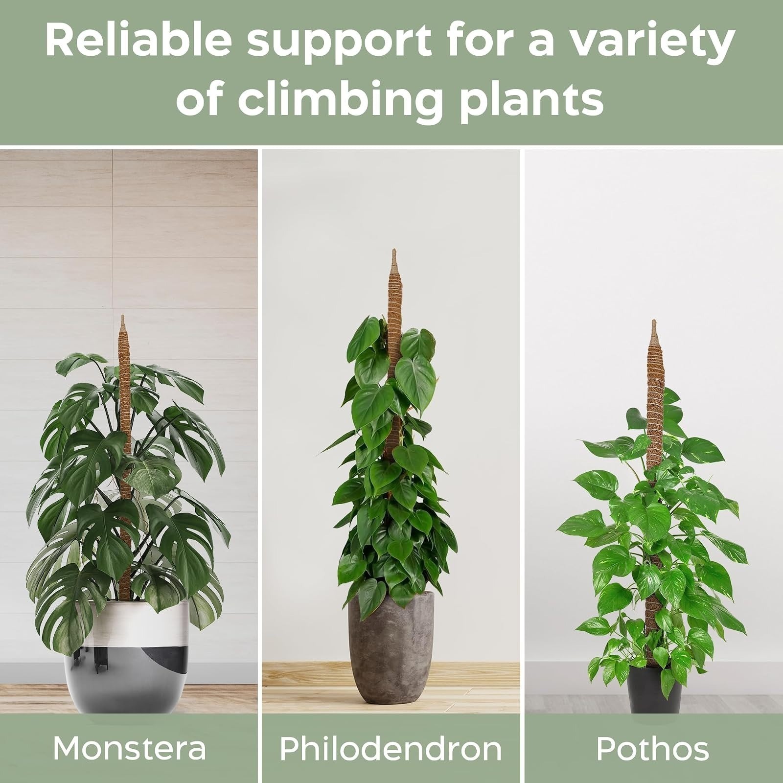 28″ Bendable Moss Pole Plant Support – 2 Pack for Climbing Plants
