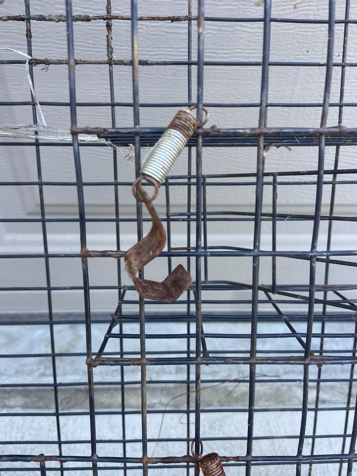 Rugged ranch squirrelinator live animal 2 door metal cage trap