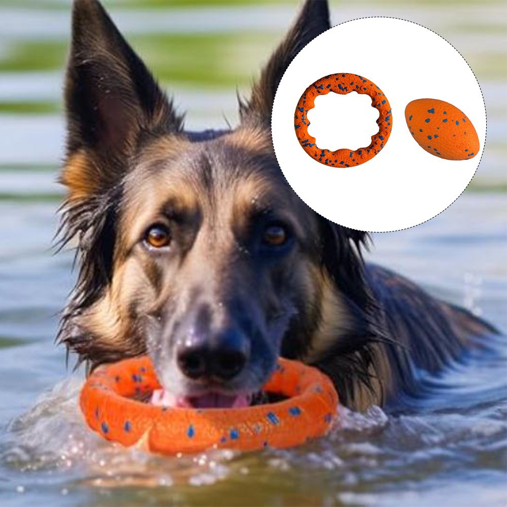 2 Piece Dog Ring Set 23cm + 12cm – Lightweight For Throwing and Chasing