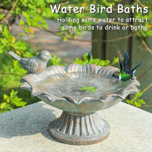 Bird Baths for Outdoors, Antique Outdoor Garden Birdbath Bowl Resin Bird Brown