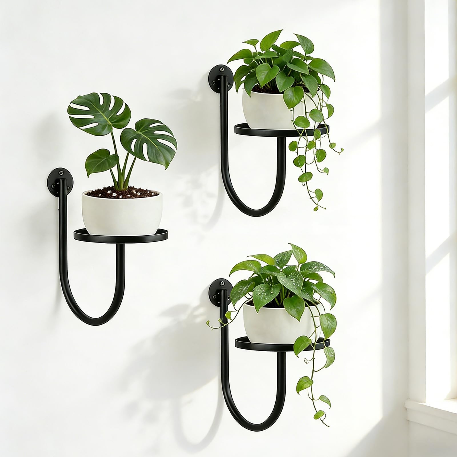 Wall Planters for Indoor Plants, 3 Pack Wall Mounted Plant Holder, Metal Plan…