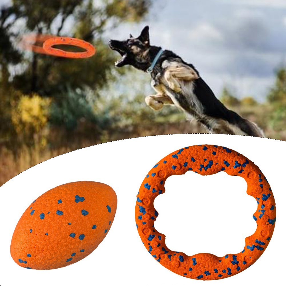 2 Piece Dog Ring Set 23cm + 12cm – Lightweight For Throwing and Chasing