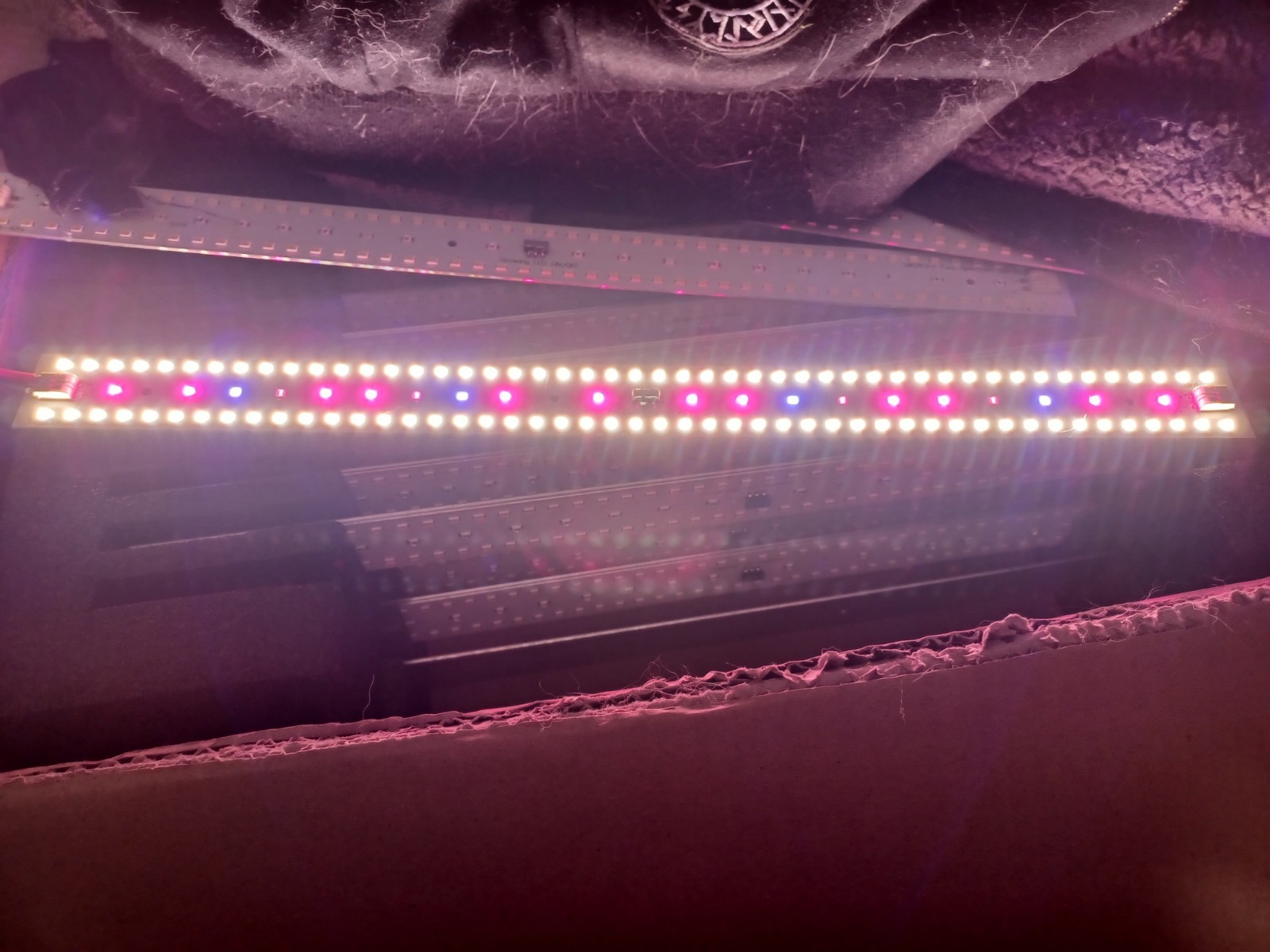 50-75watts samsung grow light dimmable customizable led 4000k+460nm+660nm+730nm
