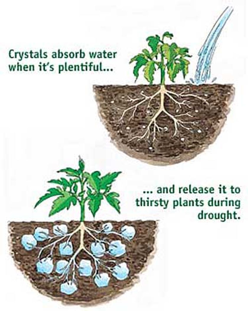 Water Absorbing Polymer Crystals – Soil Moist – Cricket Water Gel