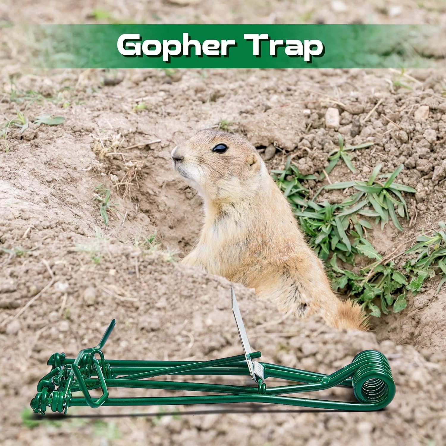 2 Pcs Stainless Steel Gopher Trap – Secure, Child-Safe Outdoor Pest Control