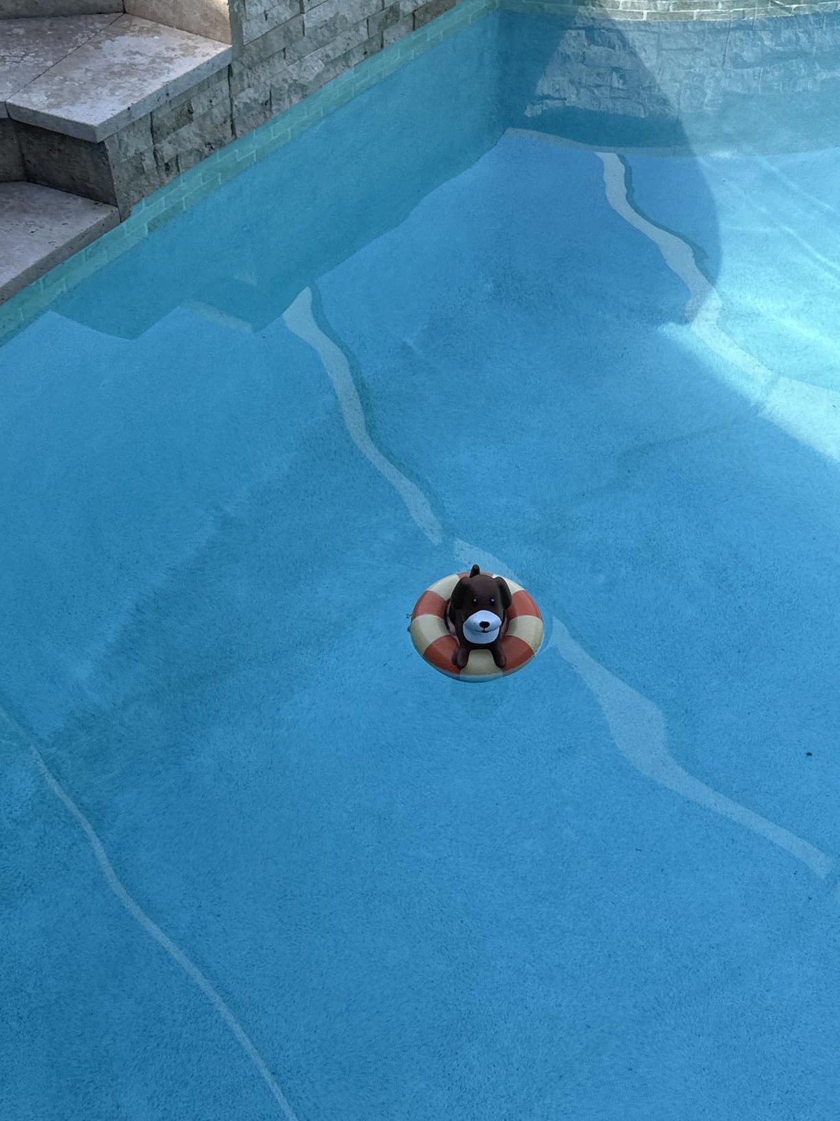 Floating Pool Chlorine Dispenser Puppy Dog 3” Tablet Adjustable Floater