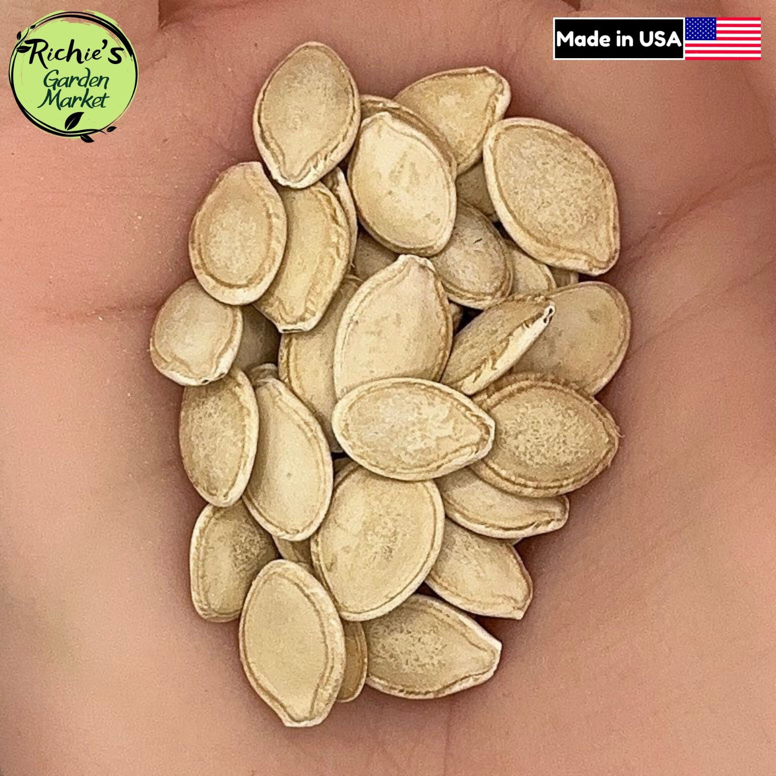 Zucchini Dark Green Seeds, High Yield, Easy to Grow, Non-GMO, Free Shipping
