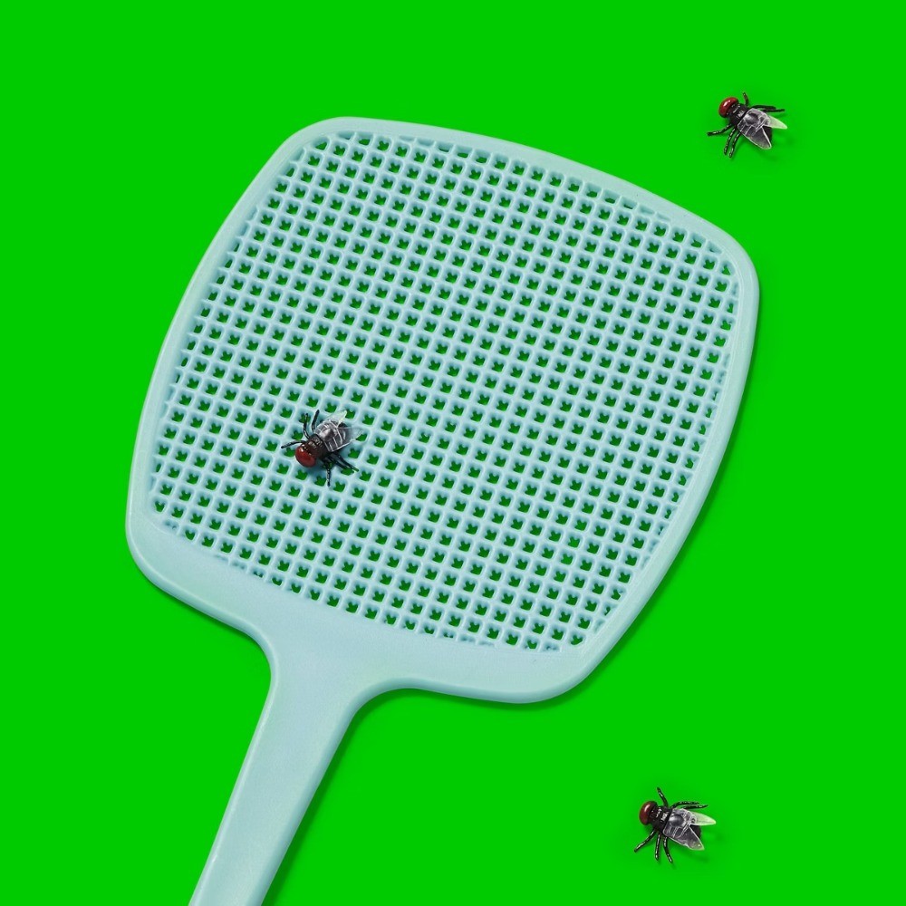 Fly Swatter
