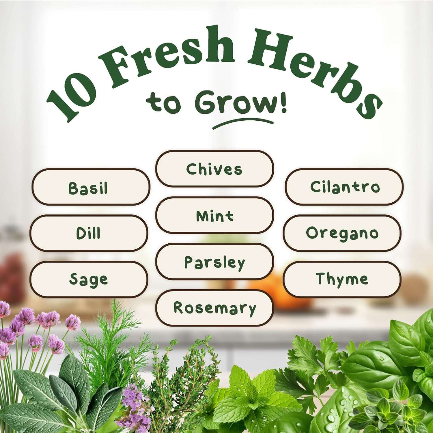 Organic Non GMO 10 Herb Variety Pack: Basil, Cilantro, Mint, Oregano, Parsley, T