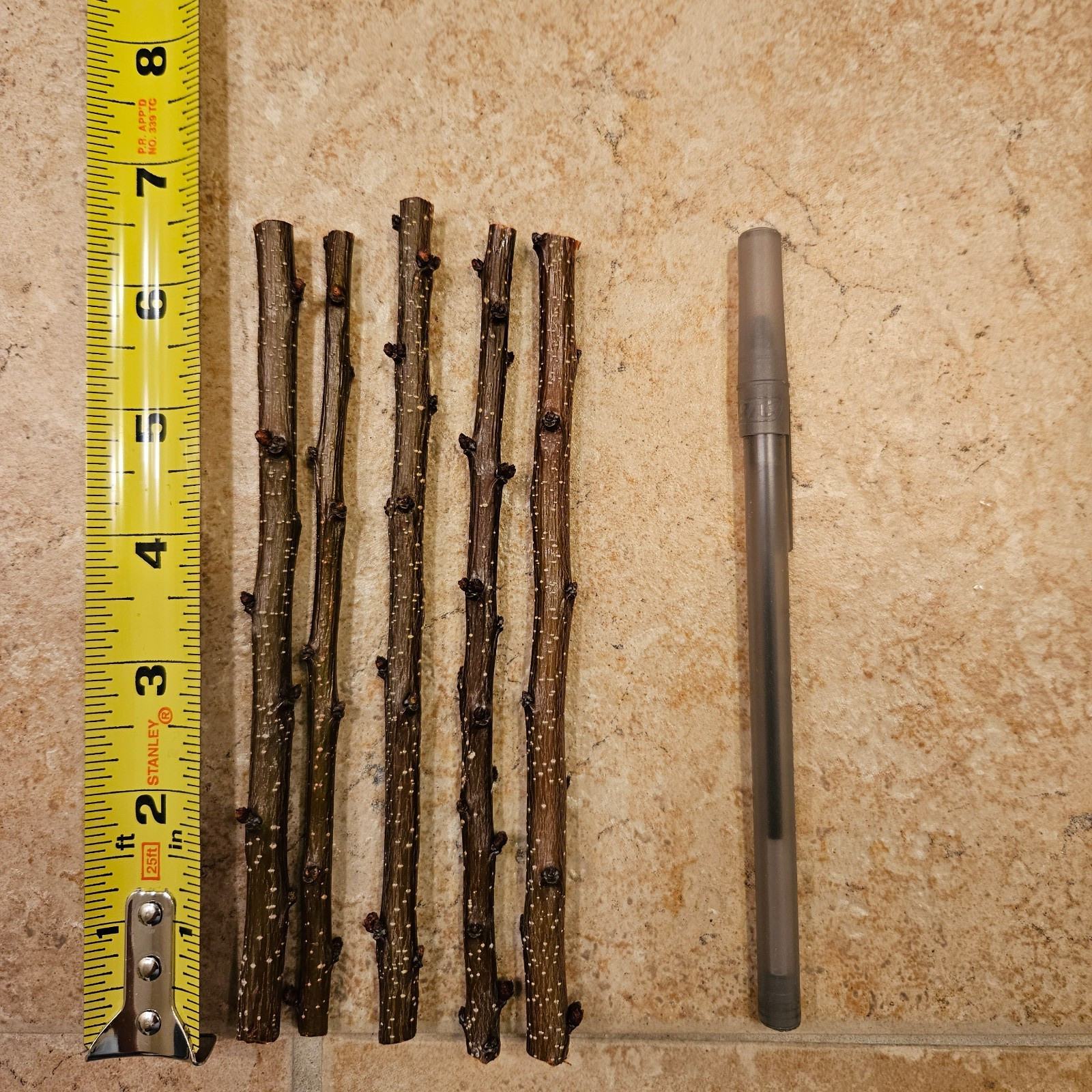 Splash Pluot Plum-Apricot Hybrid Scion Wood Cuttings For Grafting (3-10 PCS)
