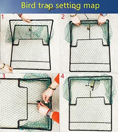 Pigeon Bird Trap Quail Sparrow Spring Starling 19.5″*15.5″*0.35″ 500.0 Grams