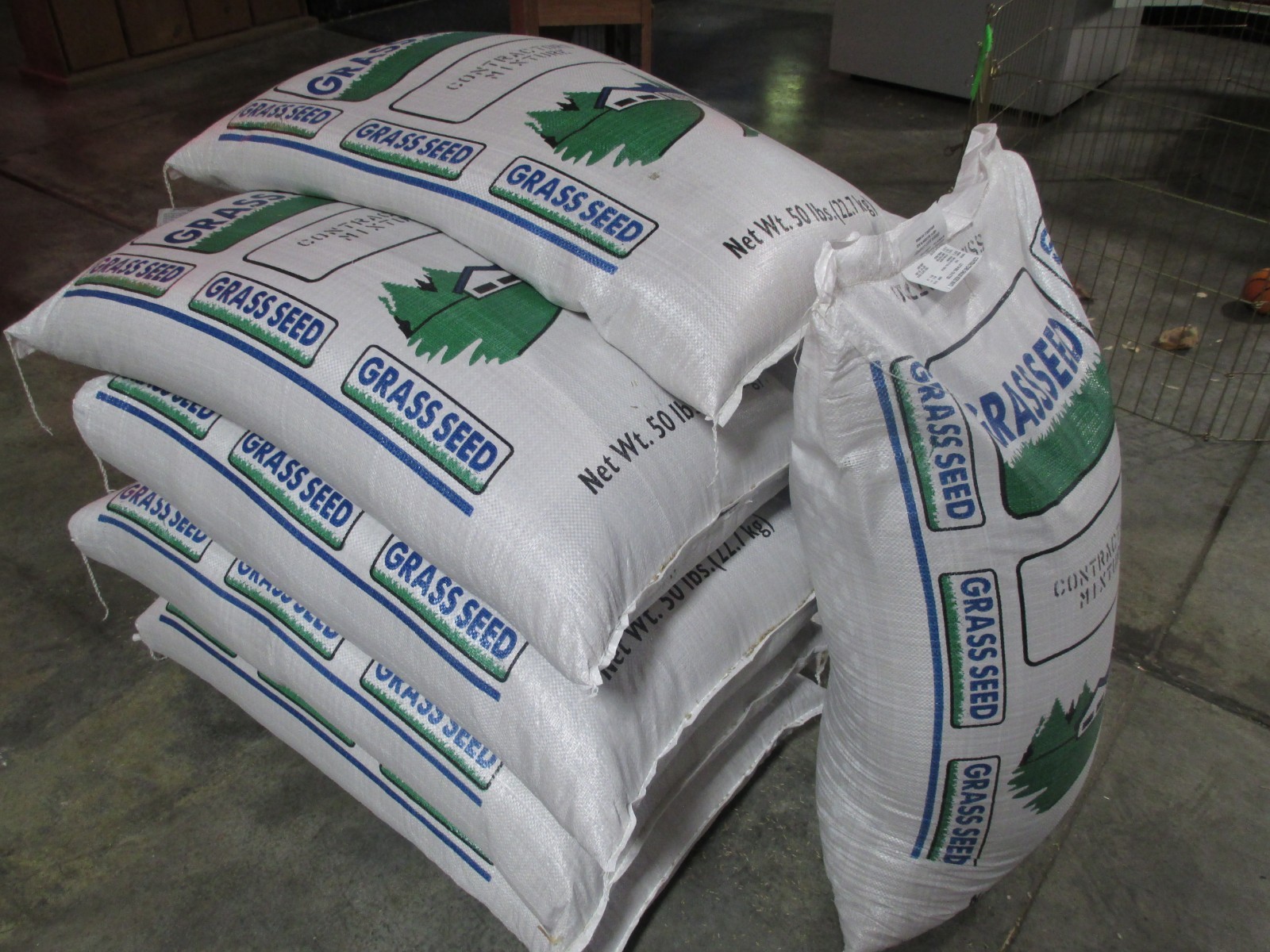 New CONTRACTOR’S MIX GRASS SEED Kentucky 31 Ryegrass Quick Germination Full Sun