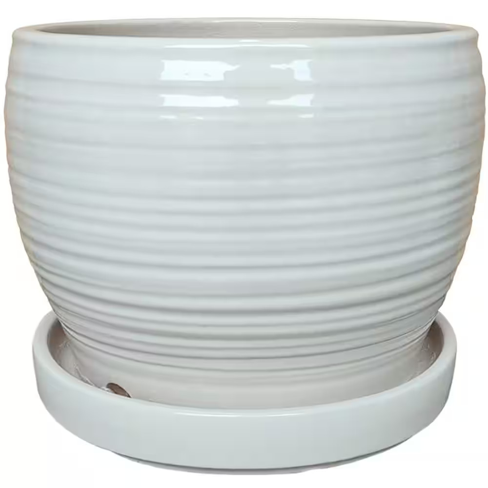 11 In. Rosalie White Glazed Ceramic Planter (11 In. D X 8.7 In. H)