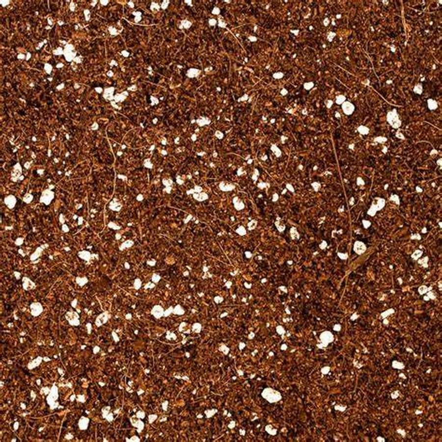 Coconut Coir – Coco Peat & Perlite 50/50 ORGANIC GROWING MEDIA for Garden Plants