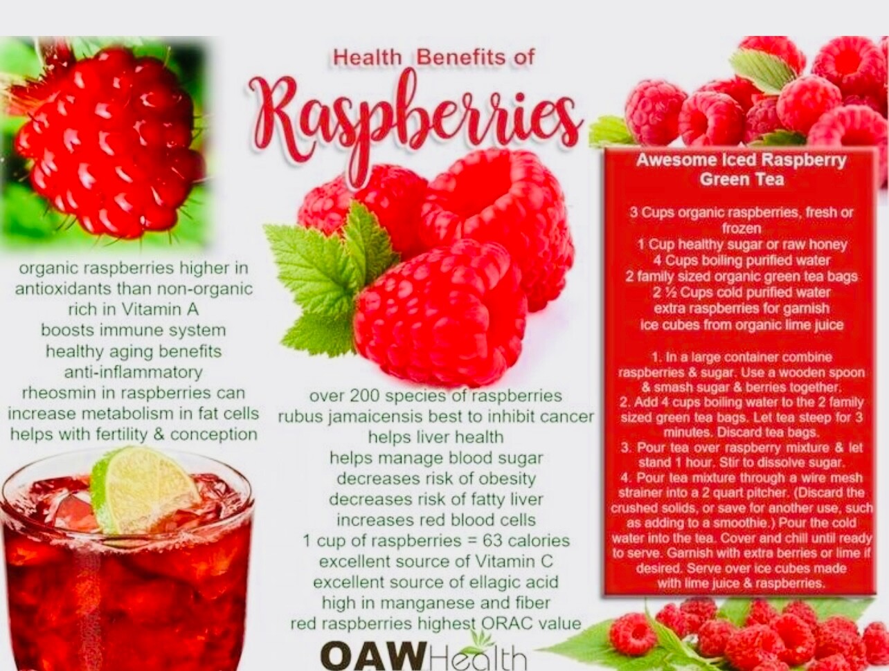 50+PCS Red Raspberry {Rubus idaeus} seeds NON-GMO Free Shipping!