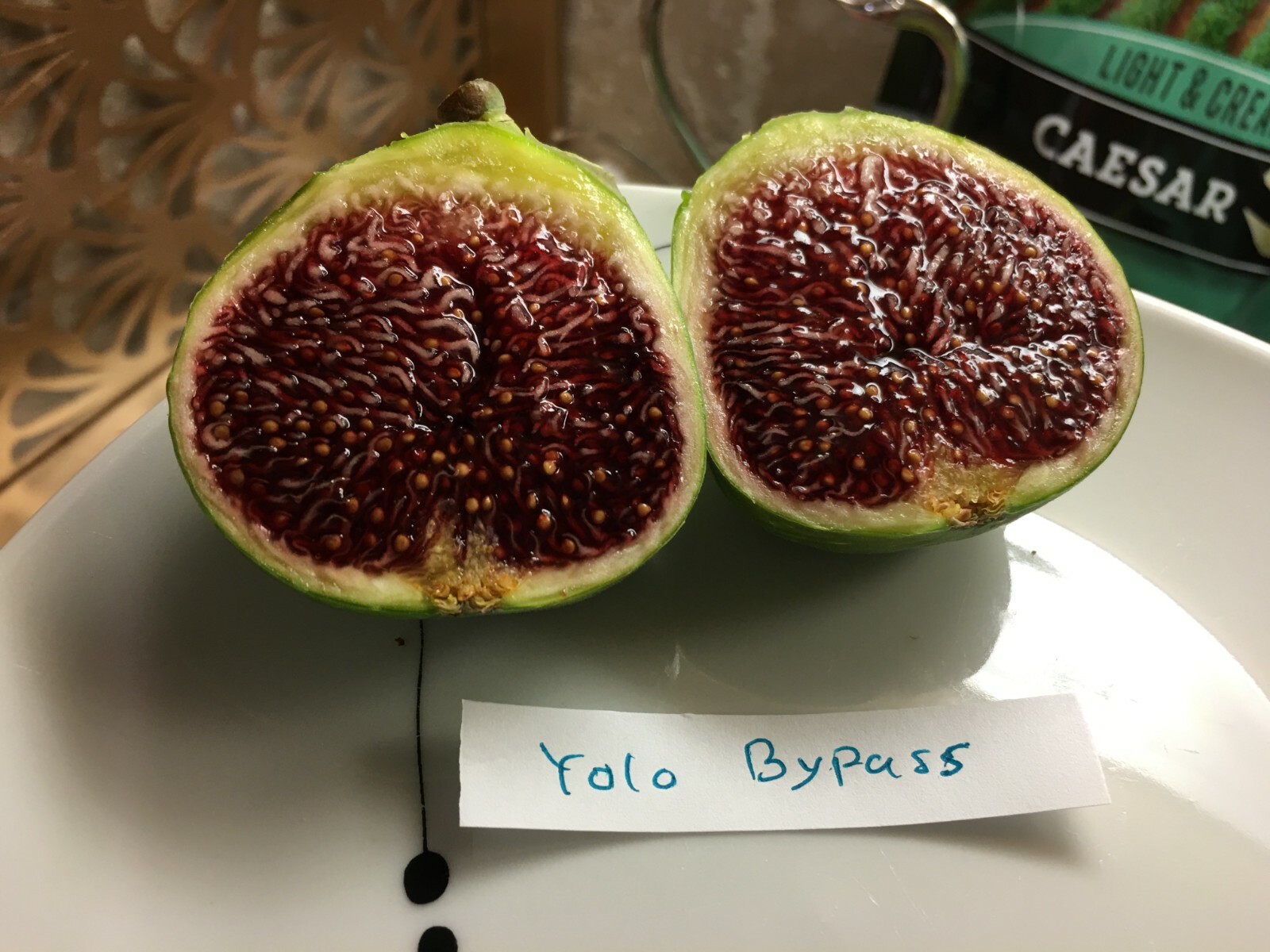 Yolo Bypass Fig (TP-FG-0004) (Two cuttings)