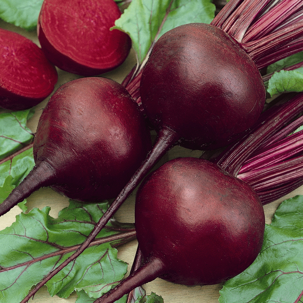 1200+ DETROIT DARK RED BEET SEEDS NON-GMO FRESH GARDEN HARVEST