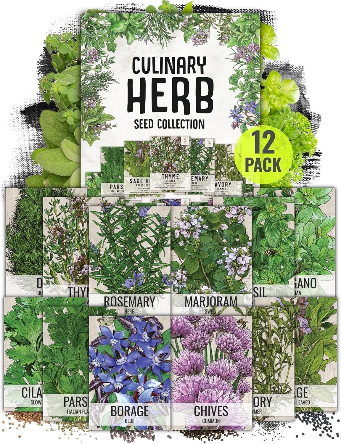 Seed Needs Herb Seeds Variety Pack Culinary Herb Collection (12 Individual Packe