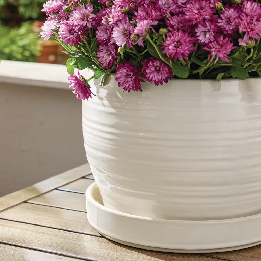 11 In. Rosalie White Glazed Ceramic Planter (11 In. D X 8.7 In. H)