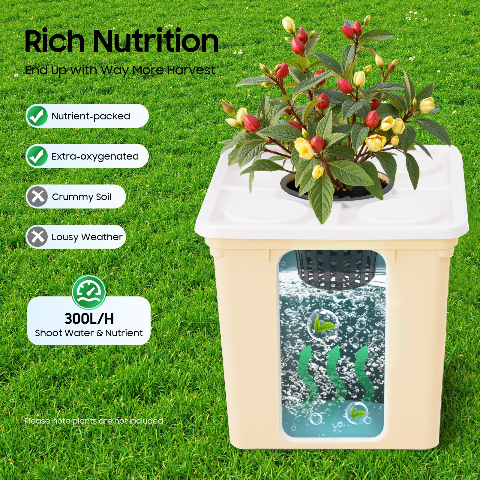 Hydroponics Deep Water Culture DWC Hydroponic System buckets Drip Growing System