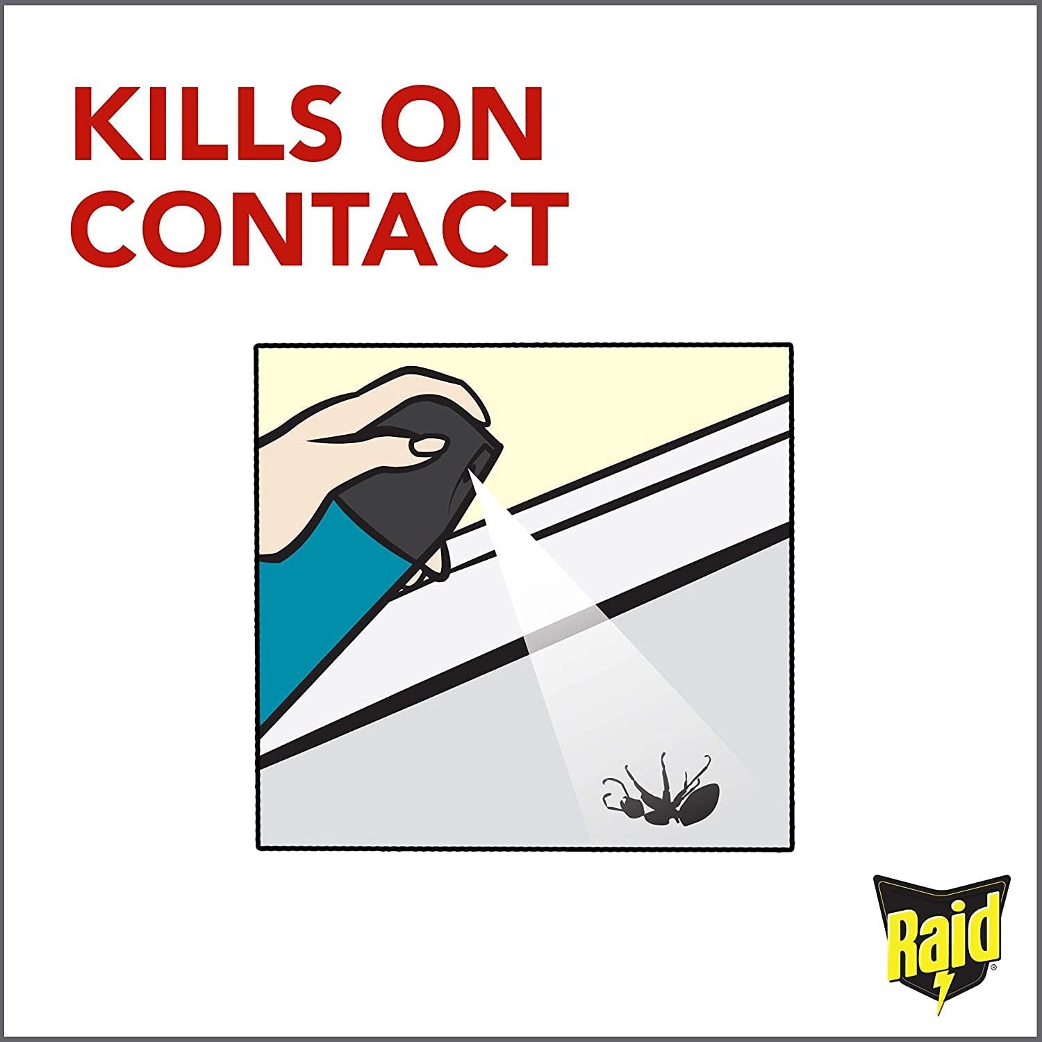 Raid Flying Insect Killer Formula Outdoor Fresh Scent, Aerosol 15 oz