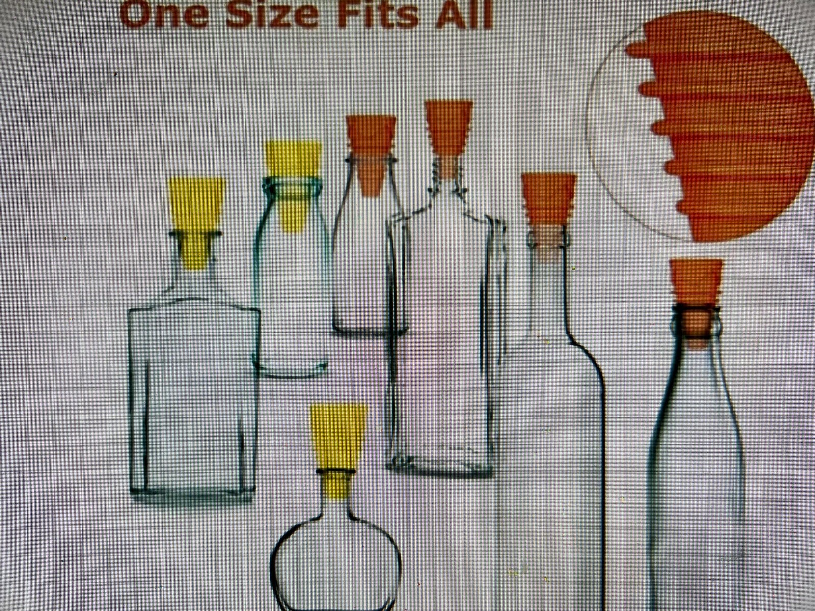 Fruit Fly Traps for Kitchens, Plant Room ~ Reusable Indoor Trap, House (4 Pk)