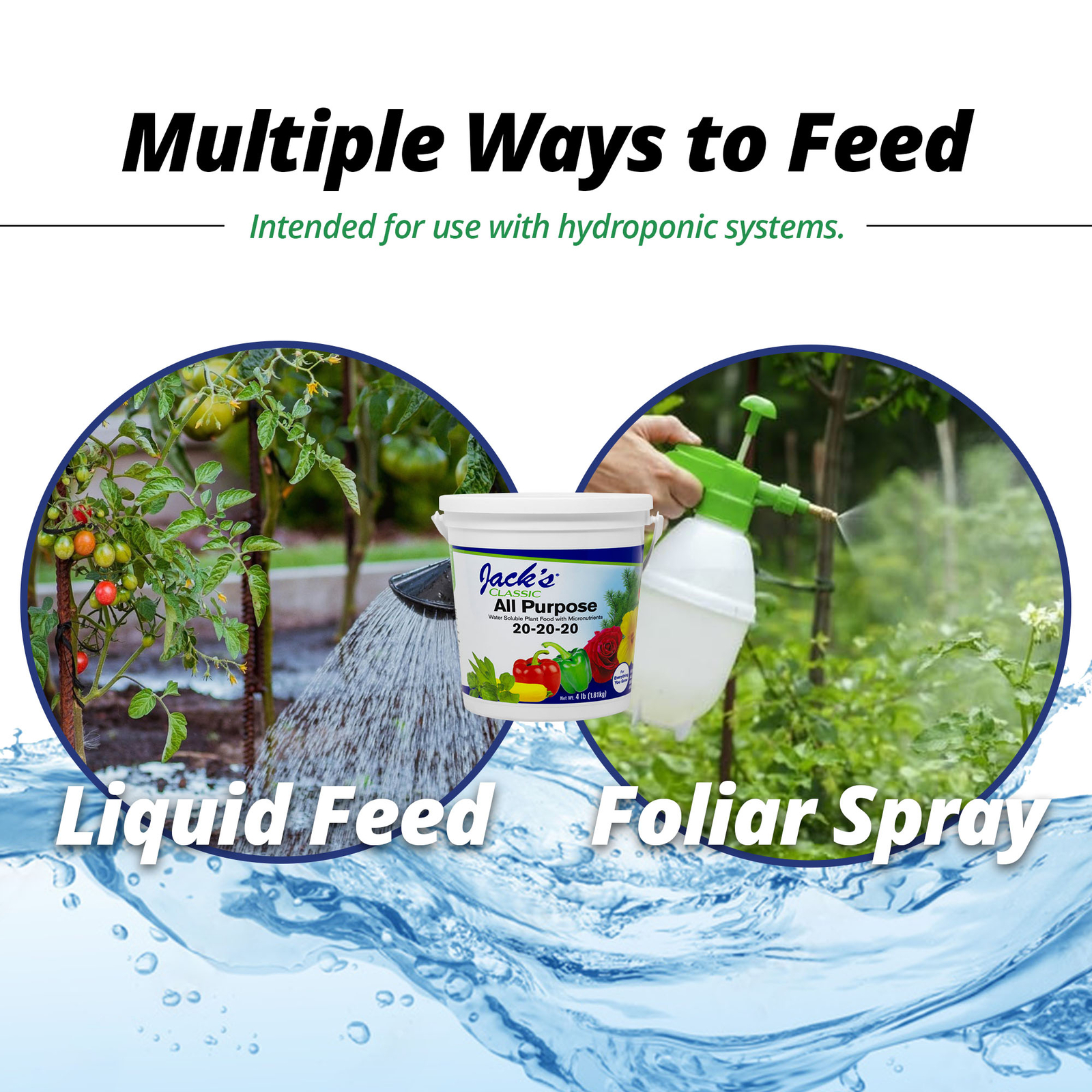 Jack’s Classic 20-20-20 All Purpose Water-Soluble Fertilizer, 4lbs
