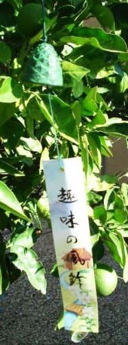 Japanese Cast Iron Windchimes Pinecone Shaped Wind Chimes Made in Japan 4940