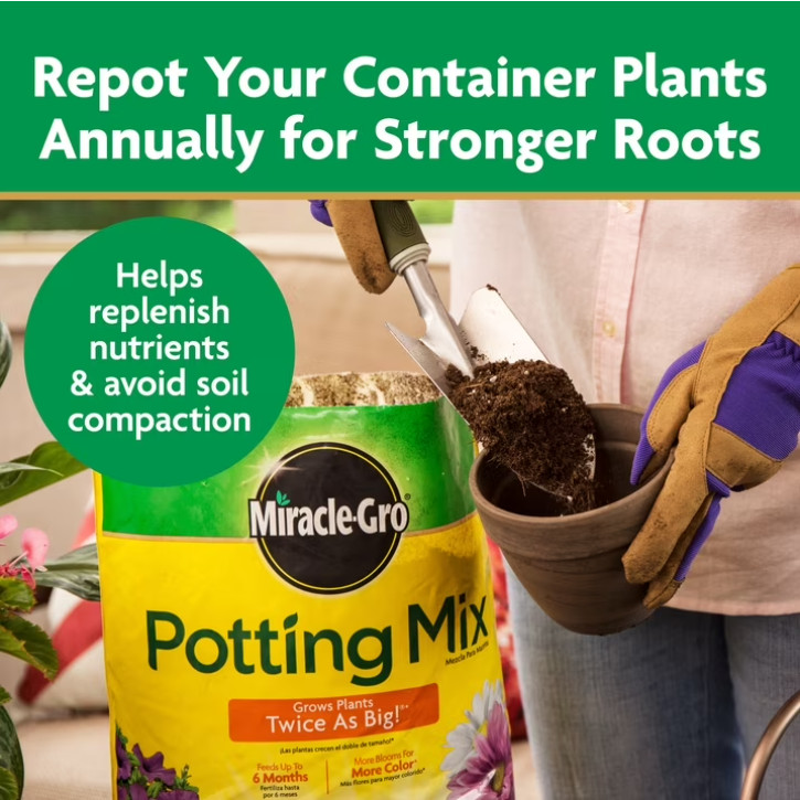 Potting Mix for Container Plants, Feeds up to 6 Months, 16qt