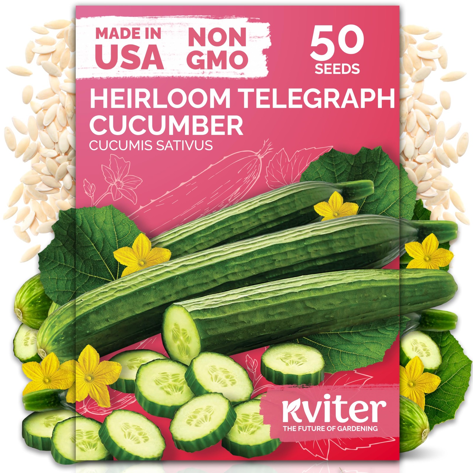 KVITER 50 English Telegraph Cucumber Seeds (Cucumis sativus)