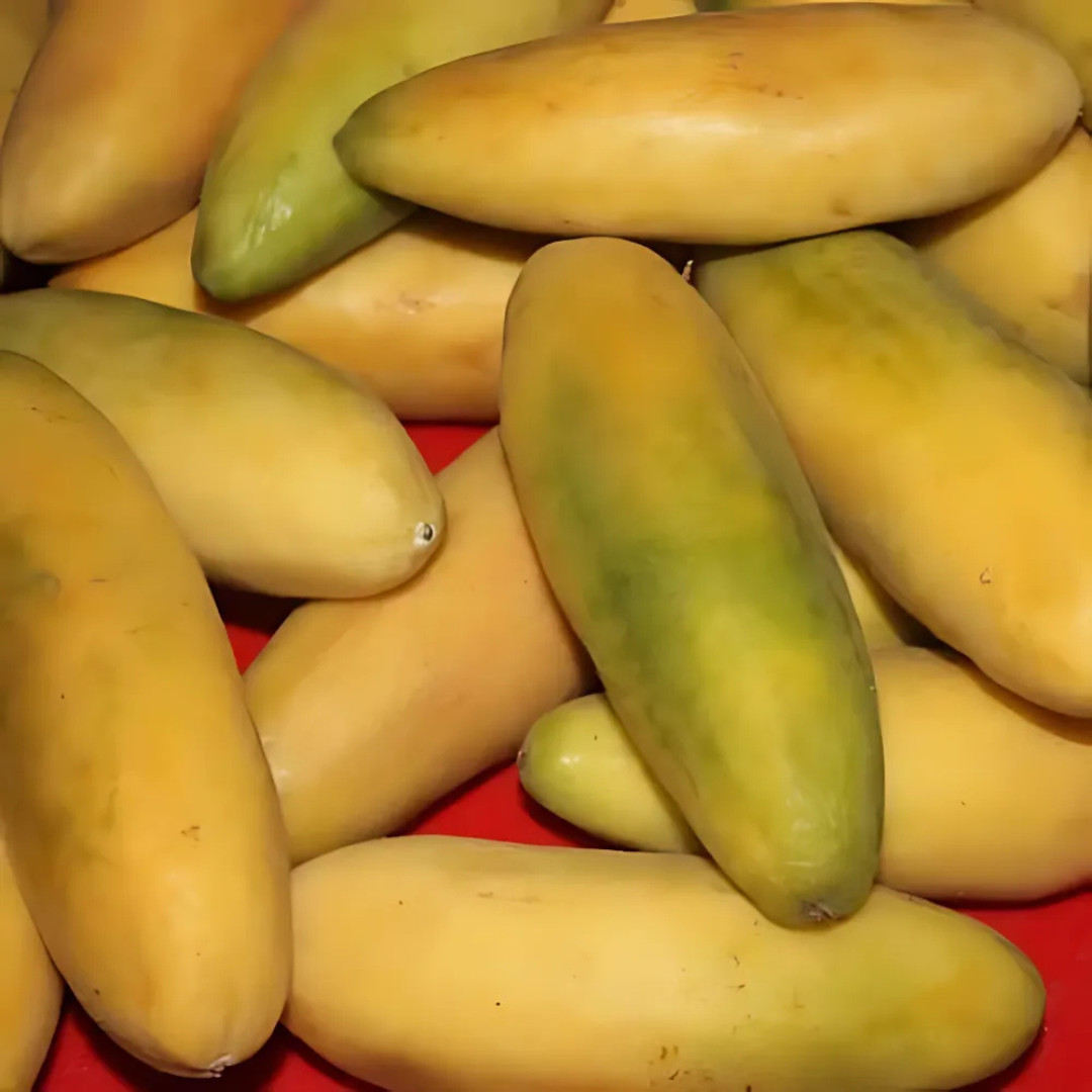 Fresh Premium Banana Passion Fruit Seeds | Heirloom | Non-GMO | Fruit Seeds