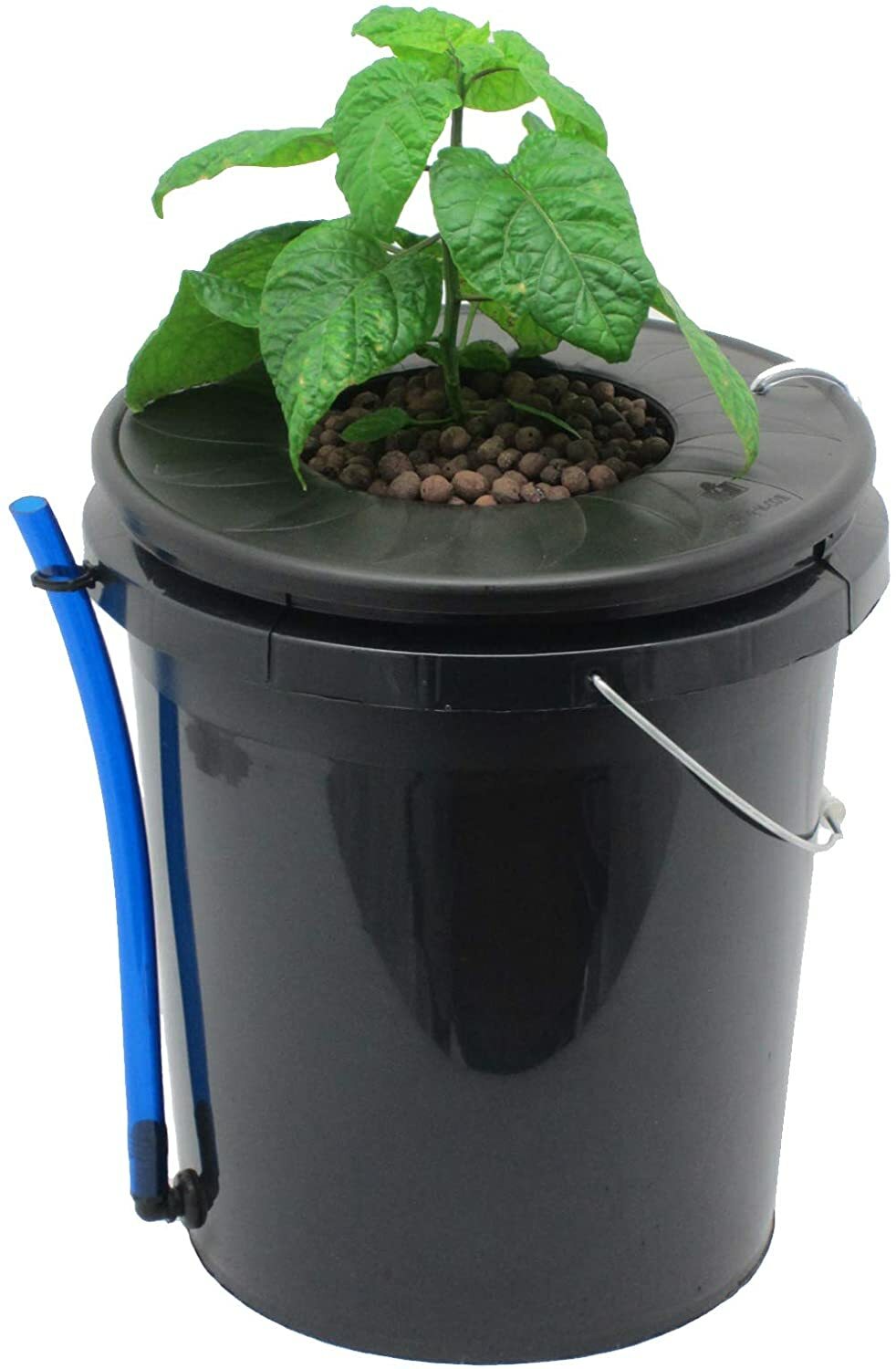 XerXes Hydroponics Deep Water Culture DWC Hydroponic System,3.5 Gallon[Set of 4]