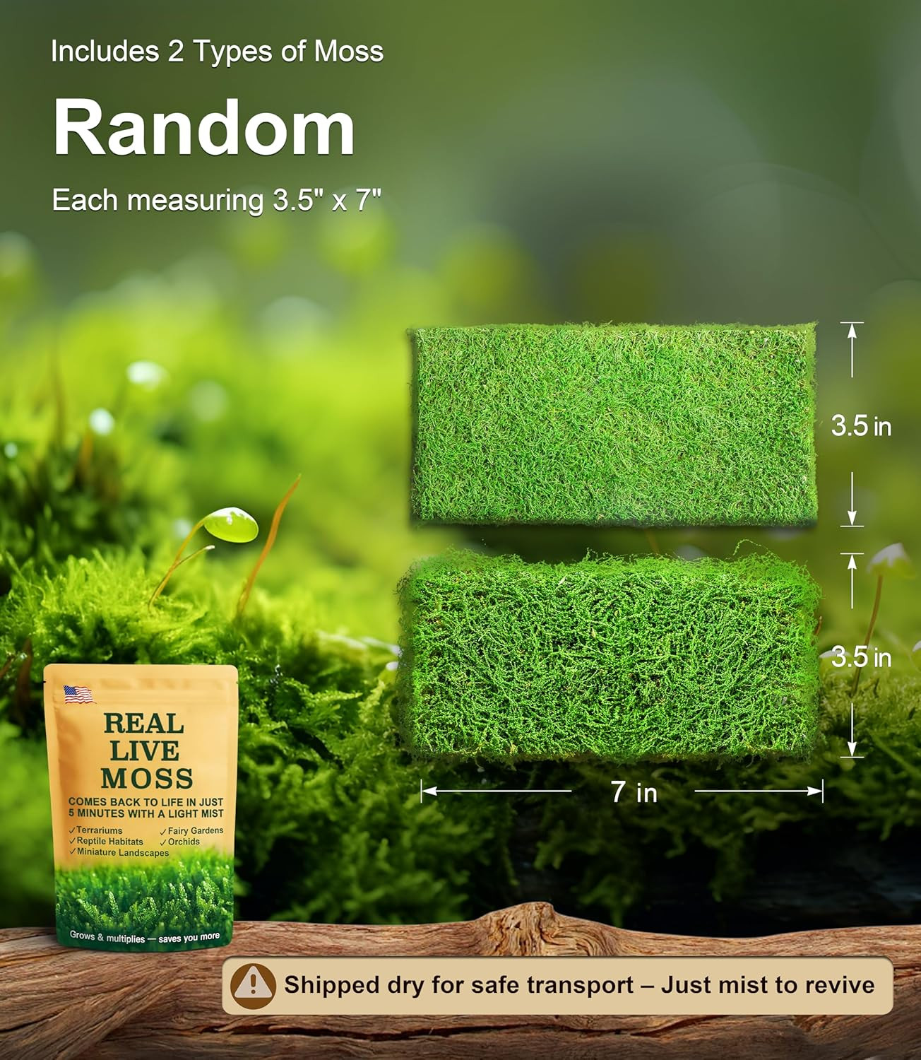 Live Moss Duo Pack 2 Types of Real Live Sheet/Sphagnum Moss for Terrariums, Terr