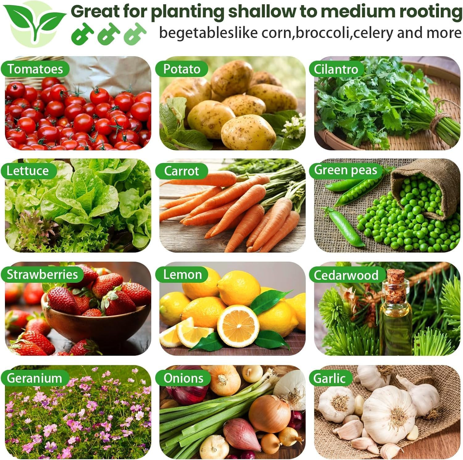 3Pcs 8x4ft Galvanized Raised Garden Bed for Vegetables & Flowers