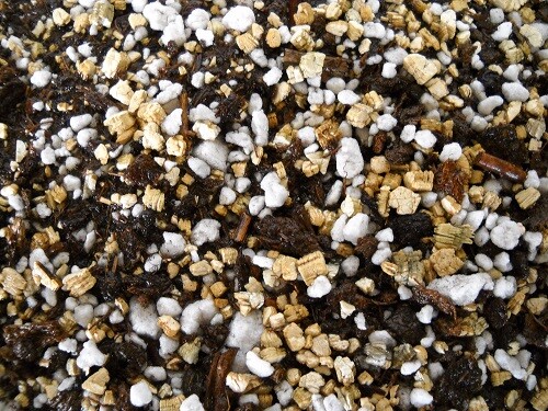 ORGANIC Potting Soil – Peat Moss 50% – Perlite 25% – Vermiculite 25% – 5 cups