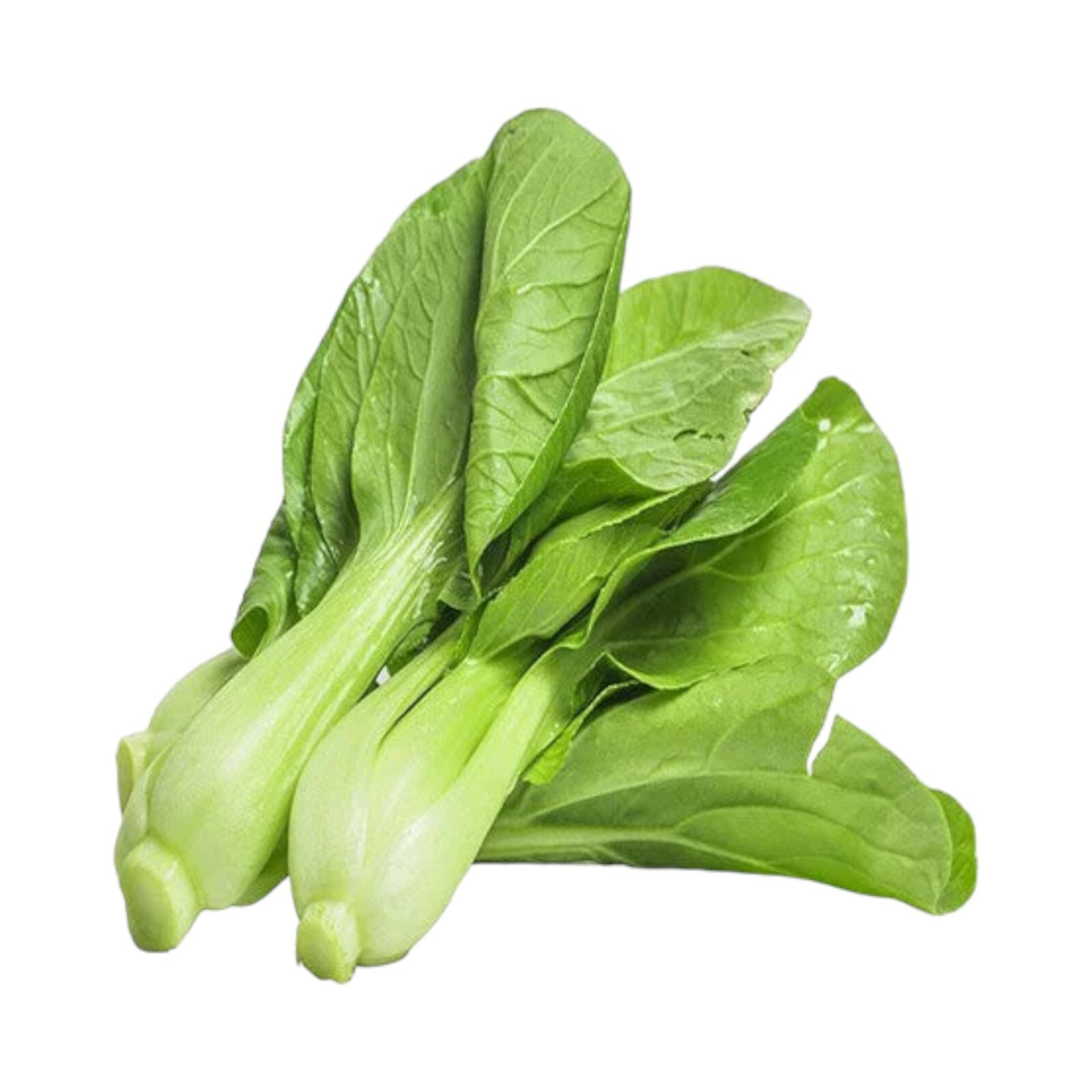 1000pcs ‘All Year Round’ Chinese Cabbage Seeds – Heirloom & Organic, Non-GMO