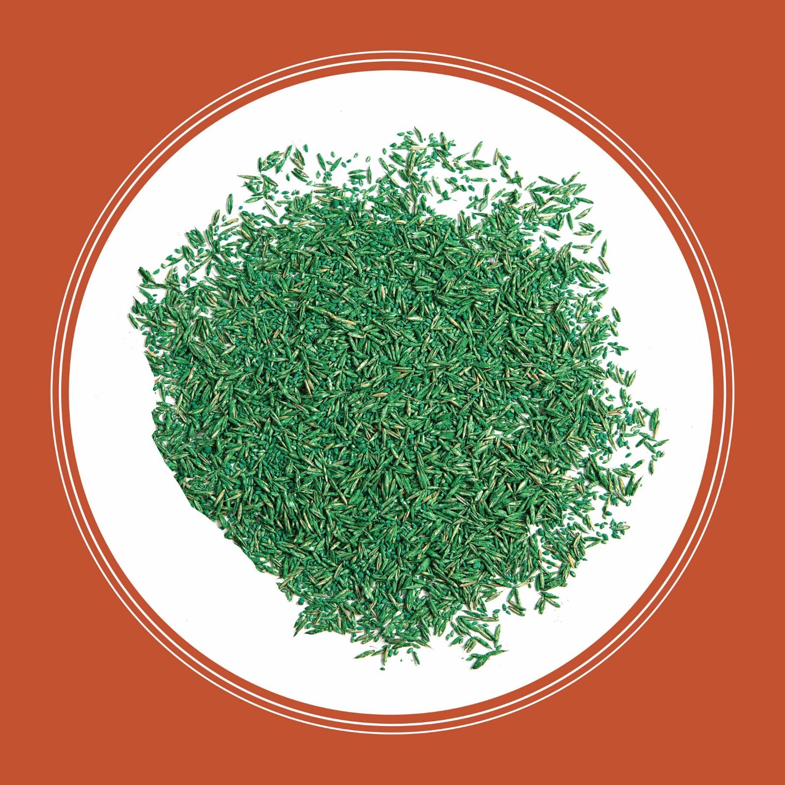 Pennington Smart Seed Texas Bermuda Grass Seed Mix, for Full Sun, 1.75 Lb.